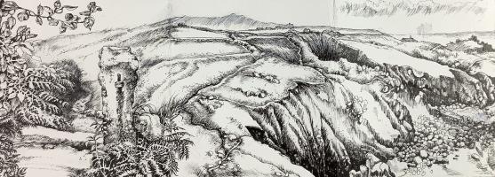 Coast Path to the Mermaid’s Cove